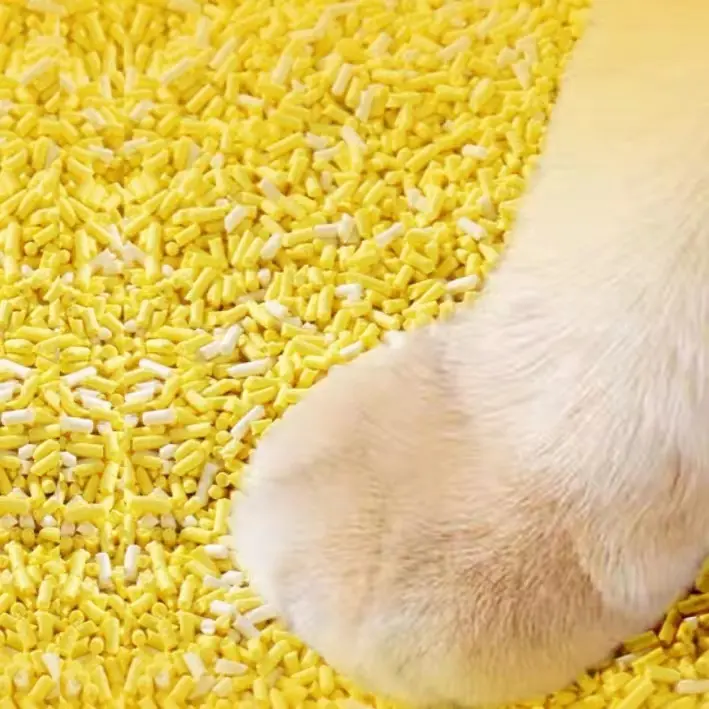 Corn-Cat-Litter  18.webp